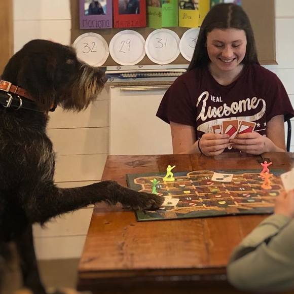 Meet your Posher, Alice - Picture 1 of 1